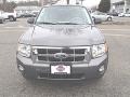 Sterling Gray Metallic - Escape XLT Photo No. 2