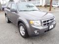 Sterling Gray Metallic - Escape XLT Photo No. 3