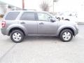 Sterling Gray Metallic - Escape XLT Photo No. 4