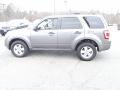Sterling Gray Metallic - Escape XLT Photo No. 6