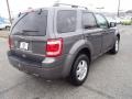 Sterling Gray Metallic - Escape XLT Photo No. 7