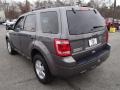 Sterling Gray Metallic - Escape XLT Photo No. 9