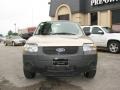 2007 Dune Pearl Metallic Ford Escape XLS  photo #2