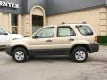 2007 Dune Pearl Metallic Ford Escape XLS  photo #4