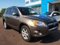 Sandy Beach Metallic - RAV4 Limited 4WD Photo No. 2