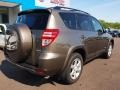 Sandy Beach Metallic - RAV4 Limited 4WD Photo No. 3