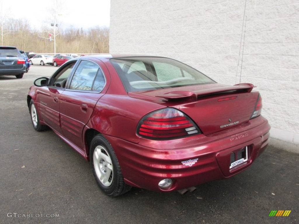 2002 Grand Am SE Sedan - Redfire Metallic / Dark Taupe photo #4