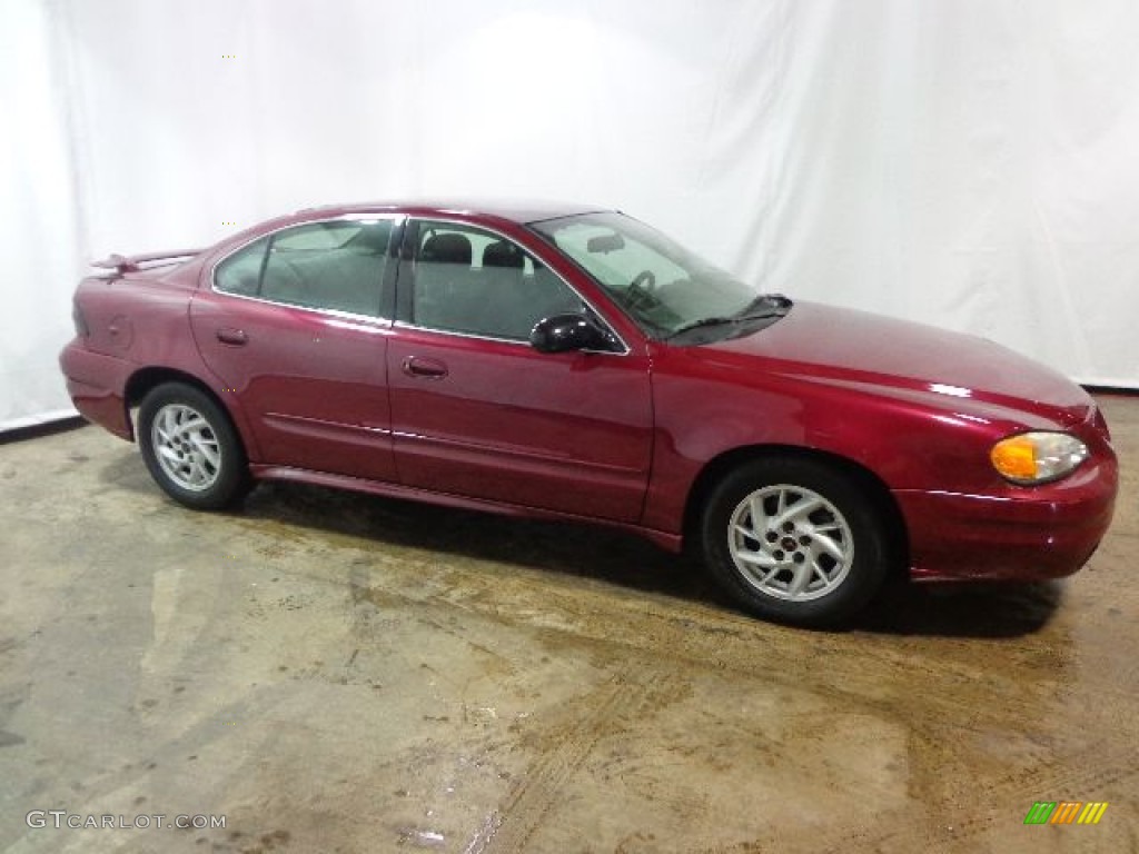 Sport Red Metallic 2004 Pontiac Grand Am SE Sedan Exterior Photo #89875726