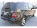 Black - ML 350 4Matic Photo No. 3