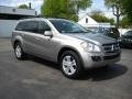 2007 Desert Silver Metallic Mercedes-Benz GL 450  photo #1