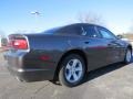 Granite Crystal Metallic - Charger SE Photo No. 3