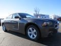 Granite Crystal Metallic - Charger SE Photo No. 4