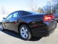 Pitch Black - Charger SE Photo No. 2