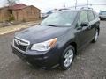 Dark Gray Metallic - Forester 2.5i Touring Photo No. 3