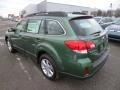 2014 Cypress Green Pearl Subaru Outback 2.5i Premium  photo #5