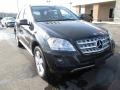 Black - ML 350 4Matic Photo No. 2