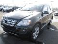 Black - ML 350 4Matic Photo No. 3
