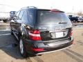 Black - ML 350 4Matic Photo No. 25