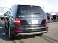 Black - ML 350 4Matic Photo No. 32