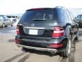 Black - ML 350 4Matic Photo No. 33