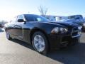 Pitch Black - Charger SE Photo No. 4