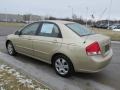 2009 Sand Beige Metallic Kia Spectra EX Sedan  photo #5