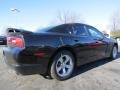 Pitch Black - Charger SE Photo No. 3