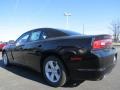 Pitch Black - Charger SE Photo No. 2