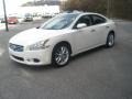 Winter Frost White - Maxima 3.5 SV Premium Photo No. 7