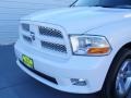 Bright White - Ram 1500 ST Regular Cab Photo No. 9