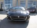 Stratus Grey Metallic 2014 Jaguar F-TYPE S Exterior