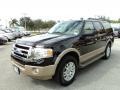 2013 Kodiak Brown Ford Expedition XLT  photo #13