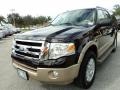 2013 Kodiak Brown Ford Expedition XLT  photo #14