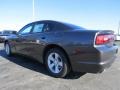 Granite Crystal Metallic - Charger SE Photo No. 2