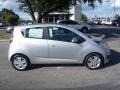 Silver Ice 2014 Chevrolet Spark LS Exterior