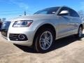 Cuvee Silver Metallic - Q5 3.0 TDI quattro Photo No. 5