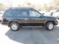 Super Black - Pathfinder SE 4x4 Photo No. 13