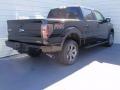 2014 Tuxedo Black Ford F150 FX4 SuperCrew 4x4  photo #4