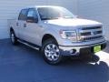 2014 Ingot Silver Ford F150 XLT SuperCrew  photo #1