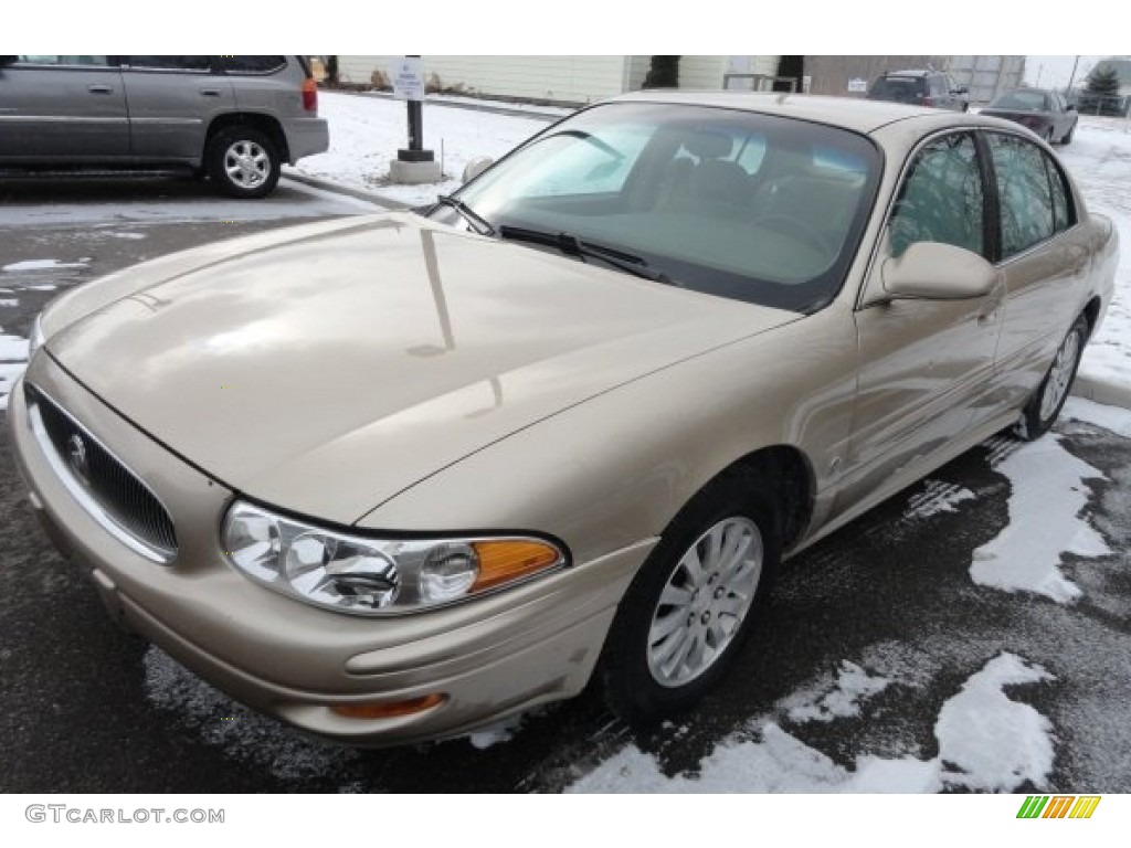 Cashmere Metallic 2005 Buick LeSabre Custom Exterior Photo #89978949