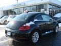 Black - Beetle TDI Photo No. 3
