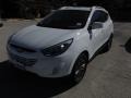 2014 Winter White Hyundai Tucson SE  photo #1