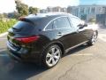 2010 Black Obsidian Infiniti FX 50 AWD  photo #6