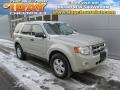 2008 Light Sage Metallic Ford Escape XLT  photo #1