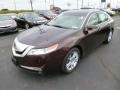 Front 3/4 View of 2010 TL 3.5