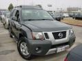 Night Armor Metallic - Xterra S Photo No. 30
