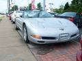 Sebring Silver Metallic - Corvette Convertible Photo No. 6