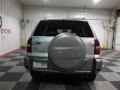 Titanium Metallic - RAV4  Photo No. 6