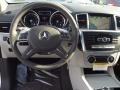 Diamond Silver Metallic - ML 350 Photo No. 9