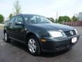 Alaska Green Metallic - Jetta GLS Sedan Photo No. 14